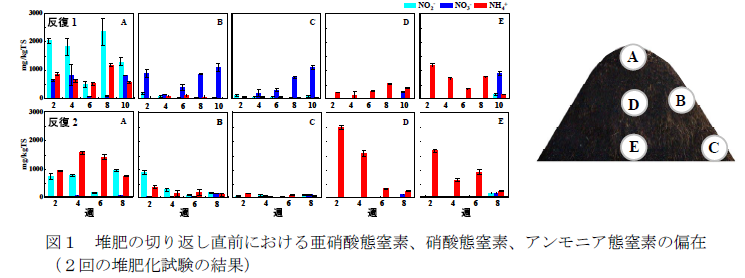 図1 堆肥の切り返し直前における亜硝酸態窒素、硝酸態窒素、アンモニア態窒素の偏在 (2回の堆肥化試験の結果)