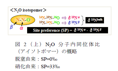図2(上)N2O分子内同位体比     (アイソトポマー)の概略 脱窒由来:SP=0‰ 硝化由来:SP=33‰