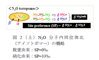 図2(上)N2O分子内同位体比 (アイソトポマー)の概略 脱窒由来:SP=0‰ 硝化由来:SP=33‰