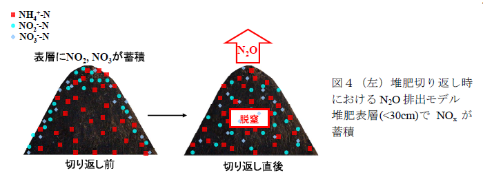 図4(左)堆肥切り返し時におけるN2O排出モデル 堆肥表層(<30cm)でNOxが蓄積