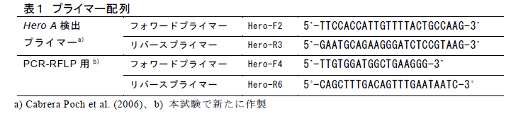 表1 プライマー配列