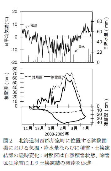 図2 北海道河西郡芽室町に位置する試験圃場における気温・降水量ならびに積雪・土壌凍結深の経時変化:対照区は自然積雪状態、除雪区は除雪により土壌凍結の発達を促進