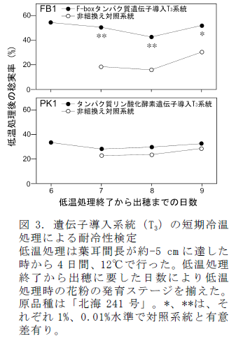 図3. 遺伝子導入系統(T3)の短期冷温処理による耐冷性検定 低温処理は葉耳間長が約-5 cmに達した時から4日間、12°Cで行った。低温処理終了から出穂に要した日数により低温処理時の花粉の発育ステージを揃えた。原品種は「北海241号」。*、**は、それぞれ1%、0.01%水準で対照系統と有意差有り。