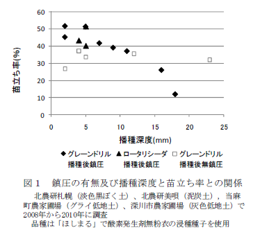 図1 鎮圧の有無及び播種深度と苗立ち率との関係