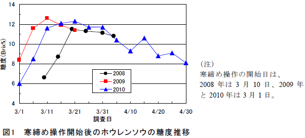 図1 寒締め操作開始後のホウレンソウの糖度推移