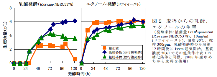 図2 麦稈からの乳酸、 エタノールの生産