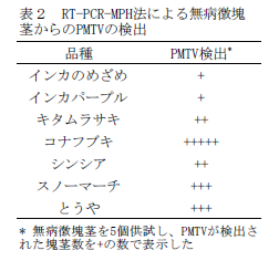 表2 RT-PCR-MPH法による無病徴塊 茎からのPMTVの検出