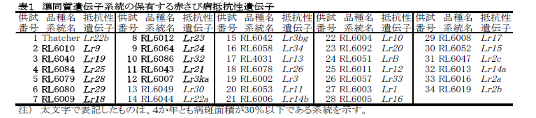 表1 準同質遺伝子系統の保有する赤さび病抵抗性遺伝子
