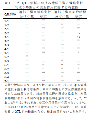 表1. 各QTL 領域における遺伝子型と栽培条件、 刈取り時期との交互作用に関する有意性