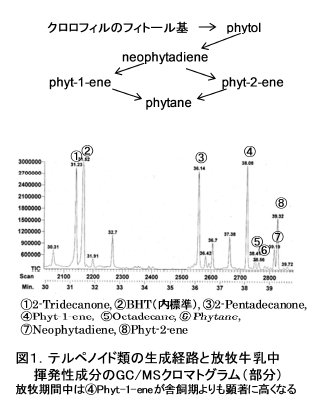 図1 テルペノイド類の生成経路と放牧牛乳中揮発性成分のGC/MSクロマトグラム(部分)