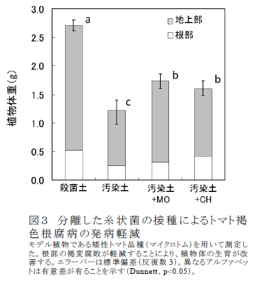 図3 分離した糸状菌の接種によるトマト褐色根腐病の発病軽減