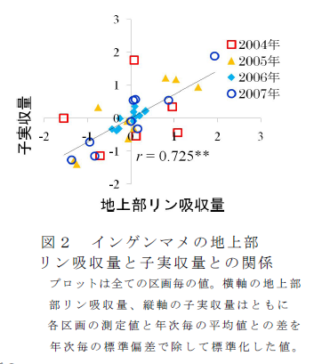 図2 インゲンマメの地上部 リン吸収量と子実収量との関係