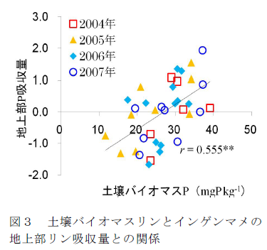 図3 土壌バイオマスリンとインゲンマメの地上部リン吸収量との関係