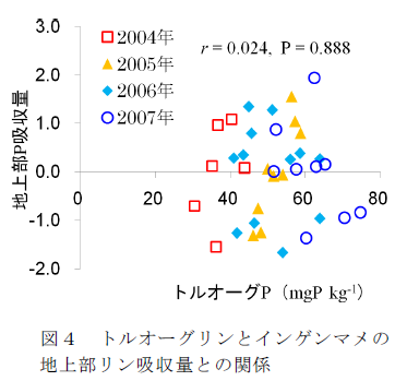 図4 トルオーグリンとインゲンマメの地上部リン吸収量との関係