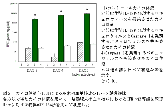 図2 カイコ体液(x100)による豚末梢血単核球のIFN-γ誘導活性