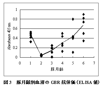 図3 豚月齢別血清のGBR 抗体価