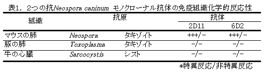 表1. 2つの抗Neospora caninum モノクローナル抗体の免疫組織化学的反応性