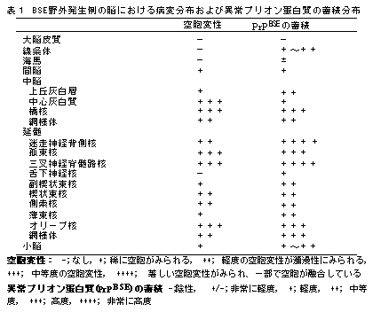 表1 BSE野外発生例の脳における病変分布および異常プリオン蛋白質の蓄積分布