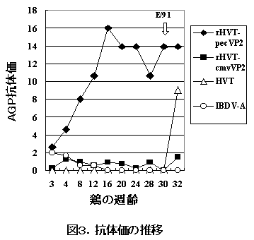 図3.抗体価の推移