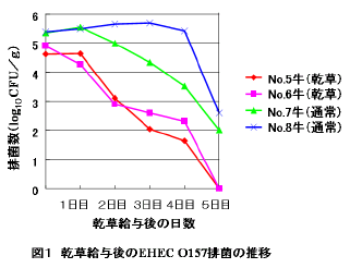図1.乾草給与後のEHEC O157排菌の推移