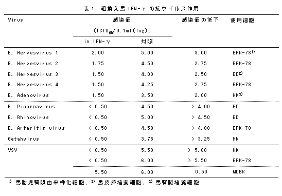 表1 組換え馬IFN-γ の抗ウイルス作用