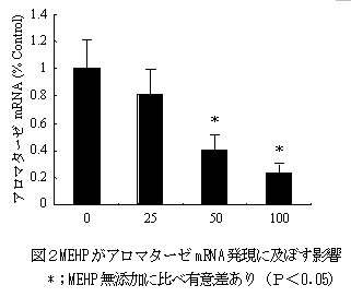 図2MEHP がアロマターゼmRNA 発現に及ぼす影響