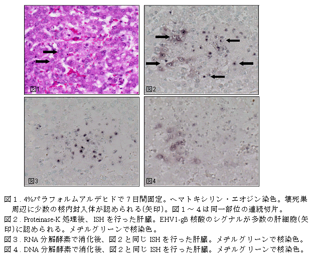 図1～4