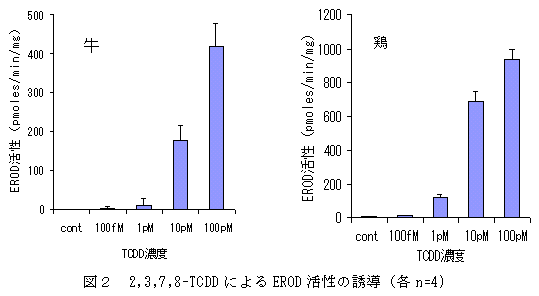 図2 2,3,7,8-TCDD によるEROD 活性の誘導