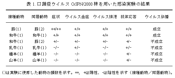 表1. 口蹄疫ウイルスO/JPN/2000 株を用いた感染実験の結果