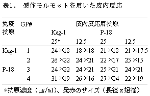 表1. 感作モルモットを用いた皮内反応