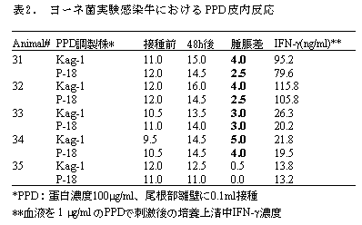 表2. ヨーネ菌実験感染牛におけるPPD皮内反応