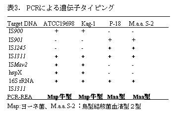 表3. PCRによる遺伝子タイピング