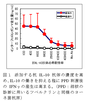 図1 添加する抗IL-10抗体の濃度を高め、IL-10の働きを抑える程にPPD刺激後のIFNγの産生は高まる。