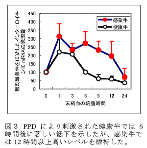 図3 PPDにより刺激された健康牛では6時間後に著しい低下を示したが、感染牛では12時間以上高いレベルを維持した。