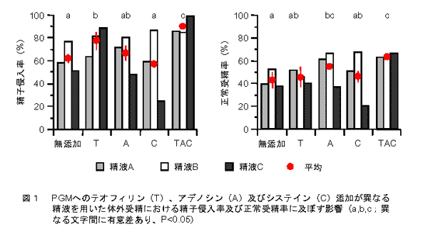 図1 PGMへのテオフィリン、アデノシン及びシステイン添加が異なる精液を用いた体外受精における精子進入率及びに正常受精率に及ぼす影響