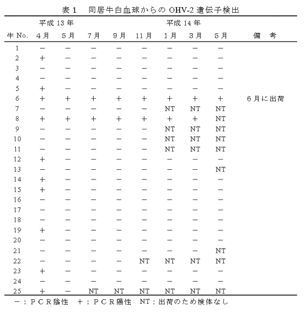 表1 同居牛白血球からのOHV-2遺伝子検出