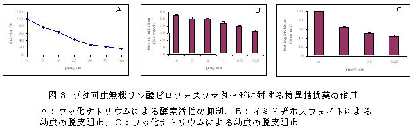 図3 豚回虫無機リン酸ピロフォスファターゼに対する特異拮抗薬の作用