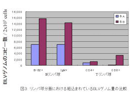 図3 リンパ球分画における組込まれているBLVゲノム量の比較