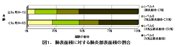 図1.肺表面積に対する肺炎部表面積の割合