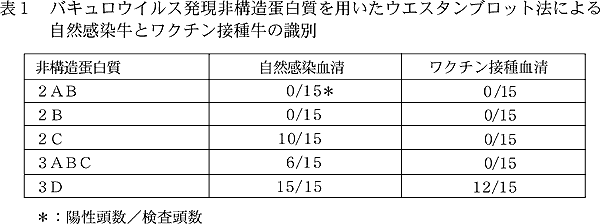 表1 バキュロウイルス発現非構造蛋白質を用いたウエスタンブロット法による 自然感染牛とワクチン接種牛の識別