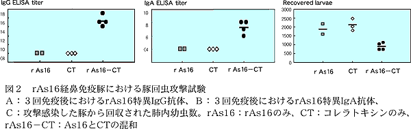 図2 rAs16経鼻免疫豚における豚回虫攻撃試験