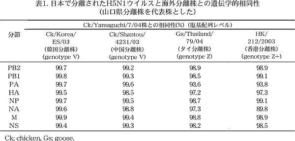 表1. 日本で分離されたH5N1 ウイルスと海外分離株との遺伝学的相同性