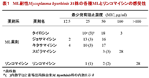 表1.ML耐性とMycoplasma hyorhinis31株の各種MLとリンコマイシンの感受性