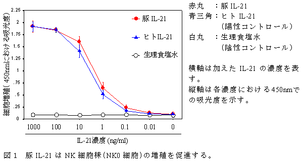 図1 豚IL-21 はNK 細胞株(NK0 細胞)の増殖を促進する。