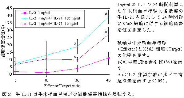 図2 牛IL-21 は牛末梢血単核球の細胞傷害活性を増強する。