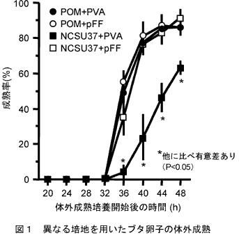 図1 異なる培地を用いたブタ卵子の体外成熟