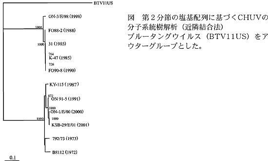 図 第2分節の塩基配列に基づくCHUV の 分子系統樹解析(近隣結合法) ブルータングウイルス(BTV11US)をアウターグルー プとした。