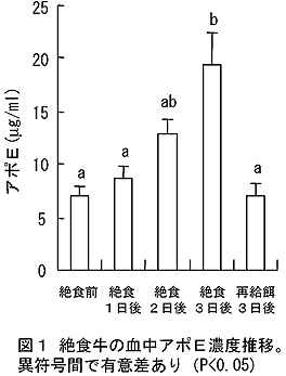 図1.絶食牛の血中アポE濃度推移。