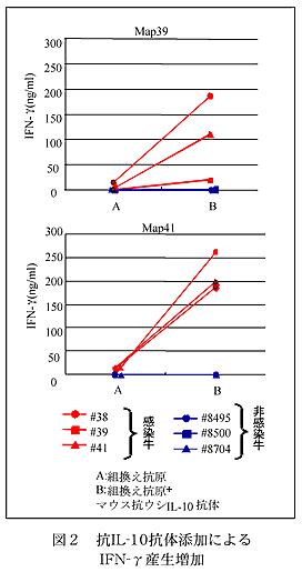 図2 抗IL-10抗体添加による
IFN-γ産生増加