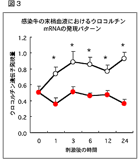 図3 感染牛の抹消血液におけるウロコルチンmRNAの発現パターン